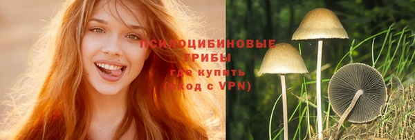 круглые Абаза