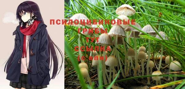 синтетический гашиш Абинск