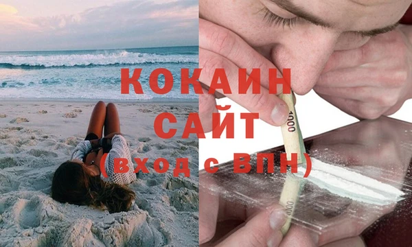 метадон Елизово